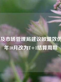 欧洲证券及市场管理局建议欧盟效仿美国 2027年10月改为T+1结算周期