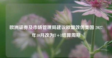 欧洲证券及市场管理局建议欧盟效仿美国 2027年10月改为T+1结算周期