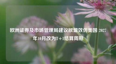 欧洲证券及市场管理局建议欧盟效仿美国 2027年10月改为T+1结算周期