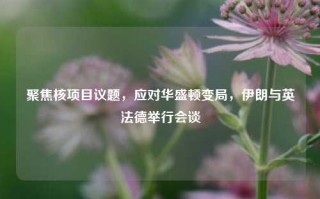 聚焦核项目议题，应对华盛顿变局，伊朗与英法德举行会谈