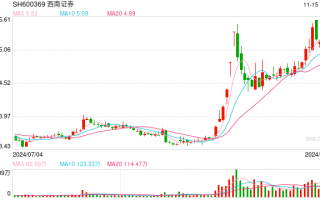 姜栋林当选西南证券董事长 接替因退休离任的吴坚