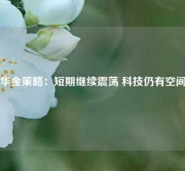 华金策略：短期继续震荡 科技仍有空间