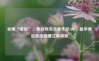 业绩“变脸”、募投研发进度不足10%，晶华微信披违规遭立案调查