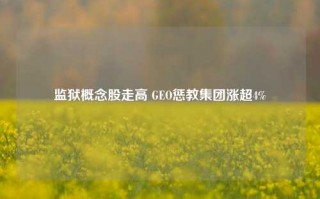 监狱概念股走高 GEO惩教集团涨超4%