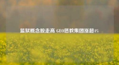 监狱概念股走高 GEO惩教集团涨超4%