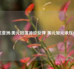 邦达亚洲:美元回落油价反弹 美元加元承压收跌