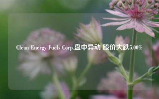 Clean Energy Fuels Corp.盘中异动 股价大跌5.00%