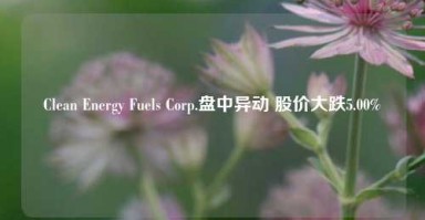 Clean Energy Fuels Corp.盘中异动 股价大跌5.00%