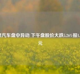 极星汽车盘中异动 下午盘股价大跌5.26%报1.05美元