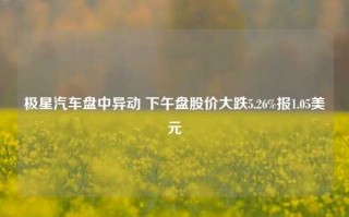 极星汽车盘中异动 下午盘股价大跌5.26%报1.05美元