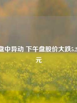 极星汽车盘中异动 下午盘股价大跌5.26%报1.05美元