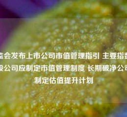 证监会发布上市公司市值管理指引 主要指数成份股公司应制定市值管理制度 长期破净公司应制定估值提升计划