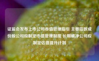 证监会发布上市公司市值管理指引 主要指数成份股公司应制定市值管理制度 长期破净公司应制定估值提升计划