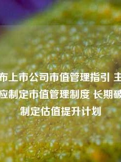 证监会发布上市公司市值管理指引 主要指数成份股公司应制定市值管理制度 长期破净公司应制定估值提升计划