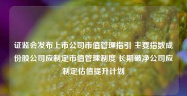 证监会发布上市公司市值管理指引 主要指数成份股公司应制定市值管理制度 长期破净公司应制定估值提升计划