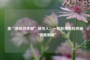 美“政府效率部”领导人：一些联邦机构将被“彻底删除”