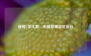 视频|李大霄：市值管理正式出台