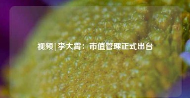 视频|李大霄：市值管理正式出台