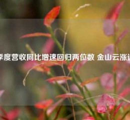 三季度营收同比增速回归两位数 金山云涨近7%