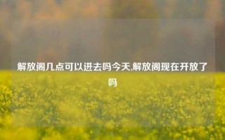 解放阁几点可以进去吗今天,解放阁现在开放了吗