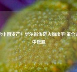 加仓中国资产！华尔街传奇人物出手 重仓这些中概股