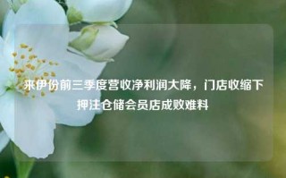 来伊份前三季度营收净利润大降，门店收缩下押注仓储会员店成败难料