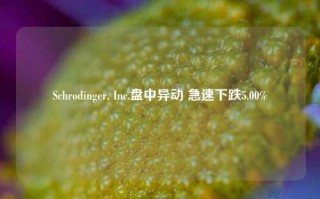 Schrodinger, Inc.盘中异动 急速下跌5.00%