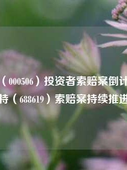 中润资源（000506）投资者索赔案倒计时，罗普特（688619）索赔案持续推进