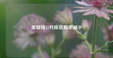 美联储12月降息概率减小