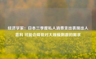 经济学家：日本三季度私人消费支出表现出人意料 可能会降低对大规模刺激的需求