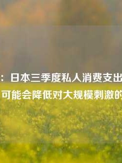 经济学家：日本三季度私人消费支出表现出人意料 可能会降低对大规模刺激的需求