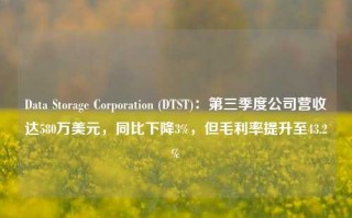 Data Storage Corporation (DTST)：第三季度公司营收达580万美元，同比下降3%，但毛利率提升至43.2%