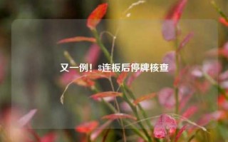 又一例！8连板后停牌核查