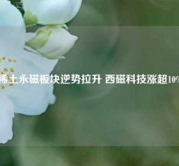 稀土永磁板块逆势拉升 西磁科技涨超10%