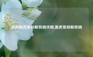 济南黑虎泉和解放阁攻略,黑虎泉到解放阁