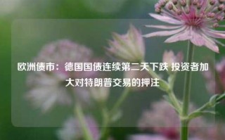 欧洲债市：德国国债连续第二天下跌 投资者加大对特朗普交易的押注