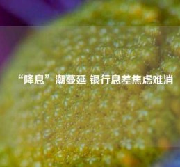 “降息”潮蔓延 银行息差焦虑难消