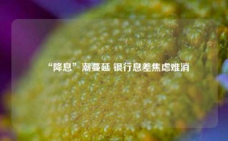 “降息”潮蔓延 银行息差焦虑难消