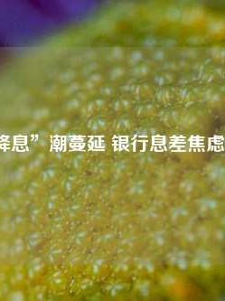 “降息”潮蔓延 银行息差焦虑难消