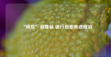 “降息”潮蔓延 银行息差焦虑难消