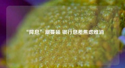 “降息”潮蔓延 银行息差焦虑难消