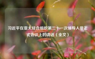 习近平在亚太经合组织第三十一次领导人非正式会议上的讲话（全文）