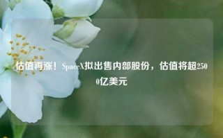 估值再涨！SpaceX拟出售内部股份，估值将超2500亿美元