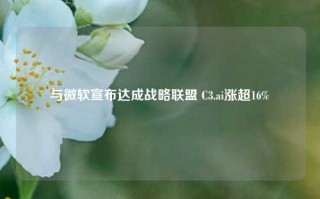 与微软宣布达成战略联盟 C3.ai涨超16%