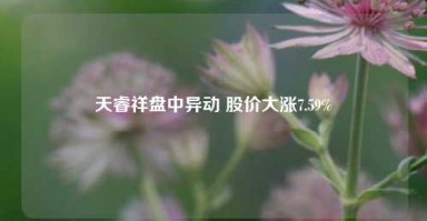 天睿祥盘中异动 股价大涨7.59%