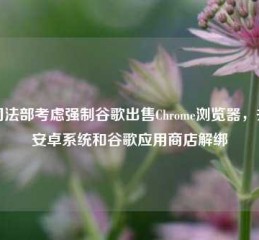 美司法部考虑强制谷歌出售Chrome浏览器，并将安卓系统和谷歌应用商店解绑