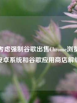 美司法部考虑强制谷歌出售Chrome浏览器，并将安卓系统和谷歌应用商店解绑