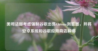 美司法部考虑强制谷歌出售Chrome浏览器，并将安卓系统和谷歌应用商店解绑