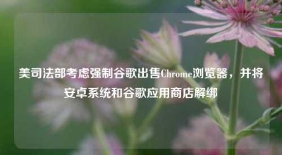 美司法部考虑强制谷歌出售Chrome浏览器，并将安卓系统和谷歌应用商店解绑