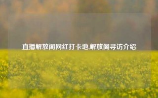 直播解放阁网红打卡地,解放阁寻访介绍